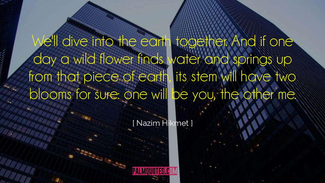 Dark Water quotes by Nazim Hikmet