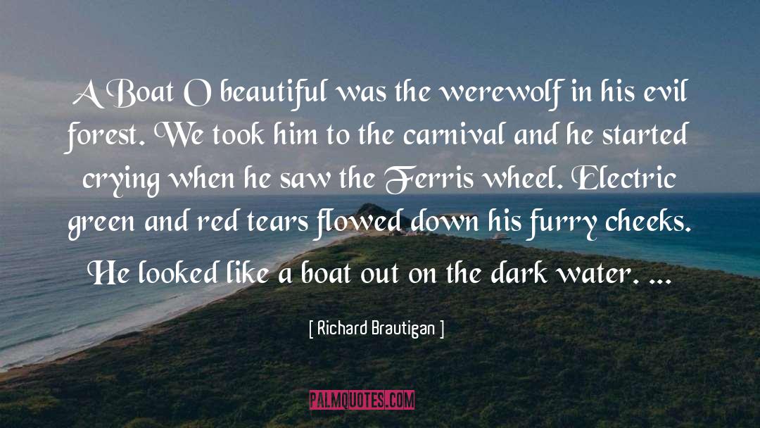 Dark Water quotes by Richard Brautigan