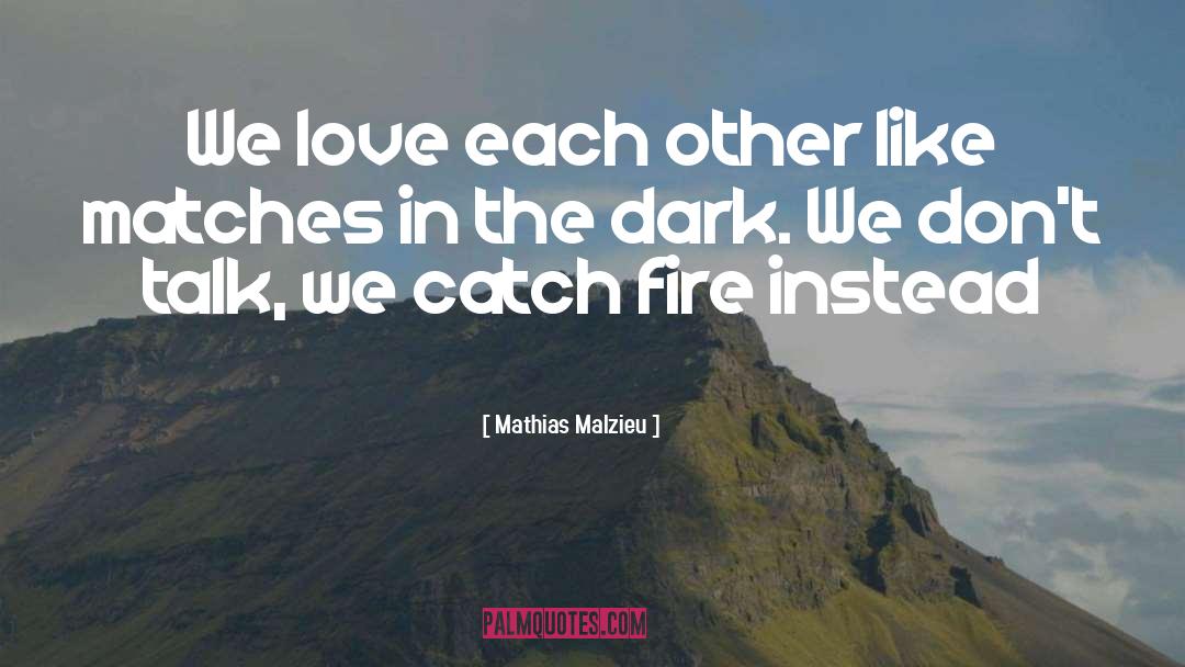 Dark Wit quotes by Mathias Malzieu