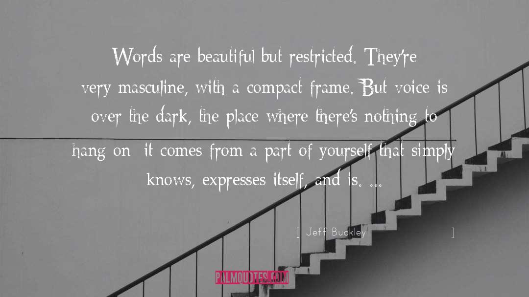 Dark Words quotes by Jeff Buckley