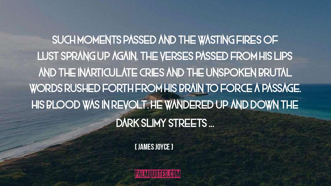 Dark Words quotes by James Joyce