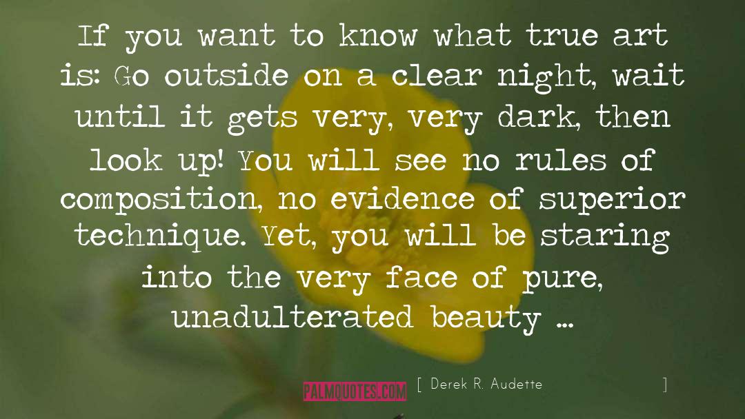 Dark Yet Beautiful quotes by Derek R. Audette