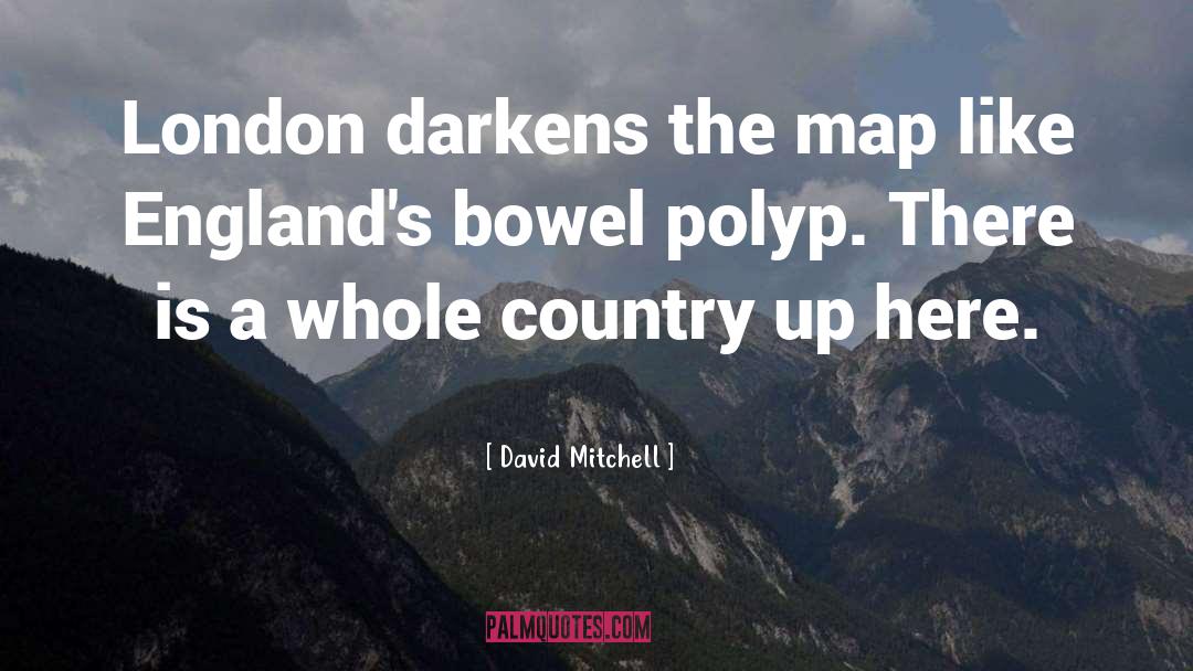 Darkens quotes by David Mitchell