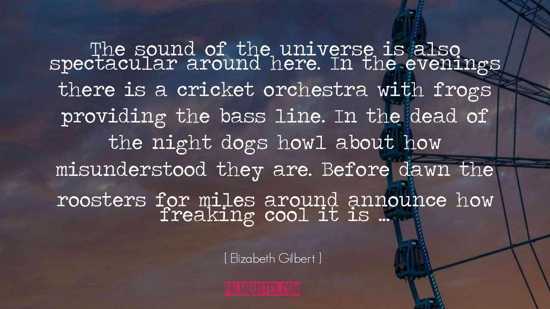 Darker Than Night quotes by Elizabeth Gilbert