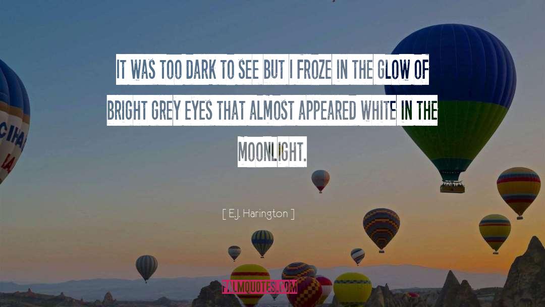 Darkness And Light quotes by E.J. Harington