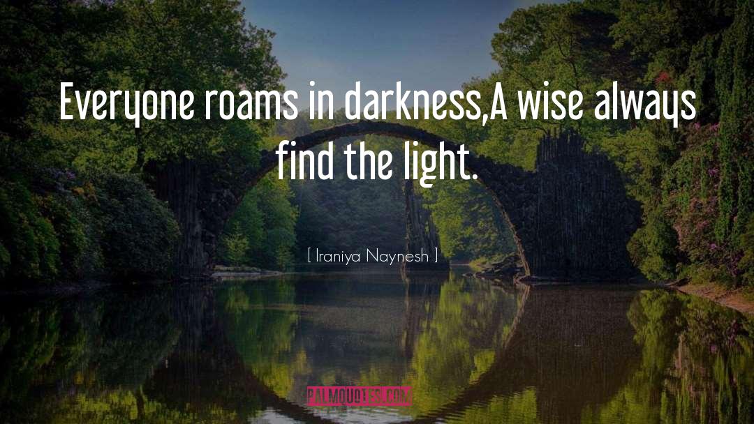 Darkness And Light quotes by Iraniya Naynesh