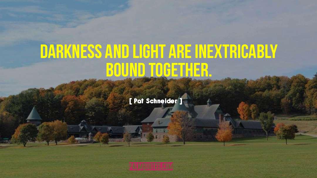 Darkness And Light quotes by Pat Schneider