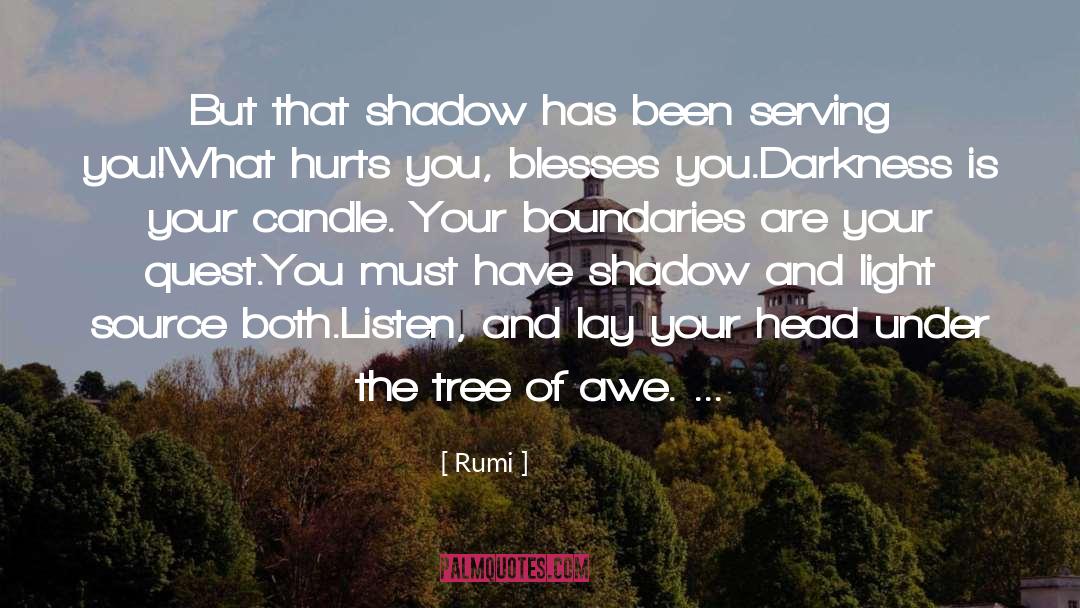 Darkness And Light quotes by Rumi