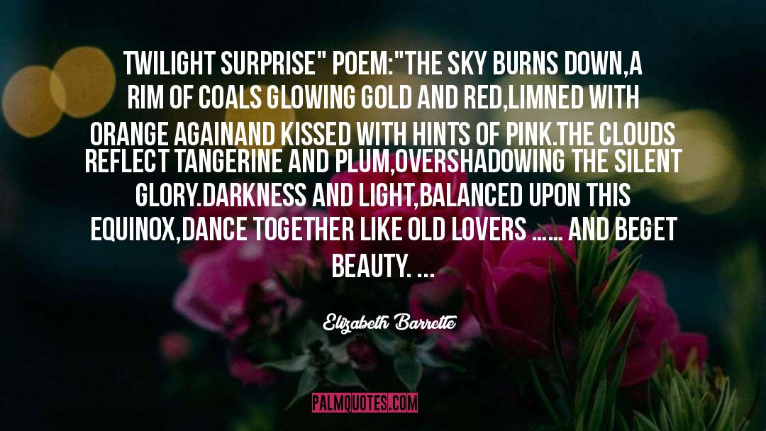 Darkness And Light quotes by Elizabeth Barrette