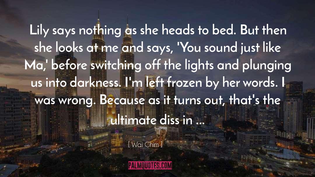 Darkness At Noon quotes by Wai Chim