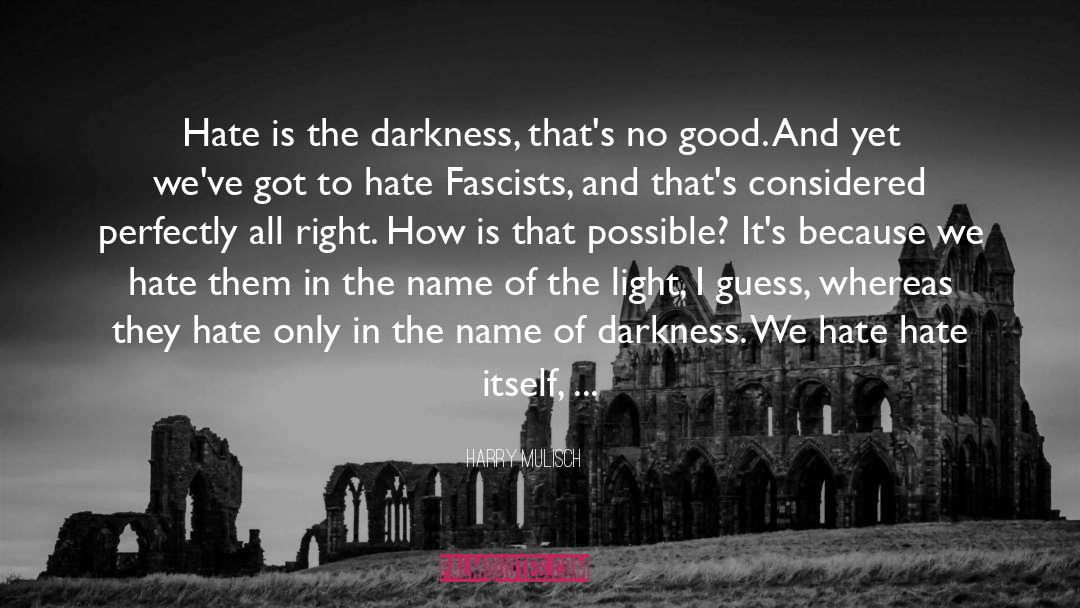 Darkness Before The Dawn quotes by Harry Mulisch