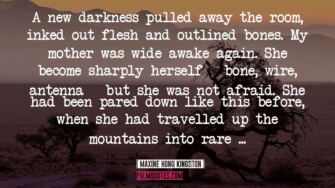 Darkness Before The Dawn quotes by Maxine Hong Kingston