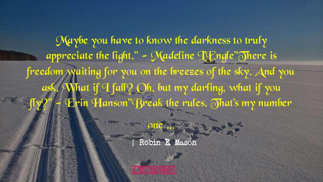 Darkness Falls quotes by Robin E. Mason