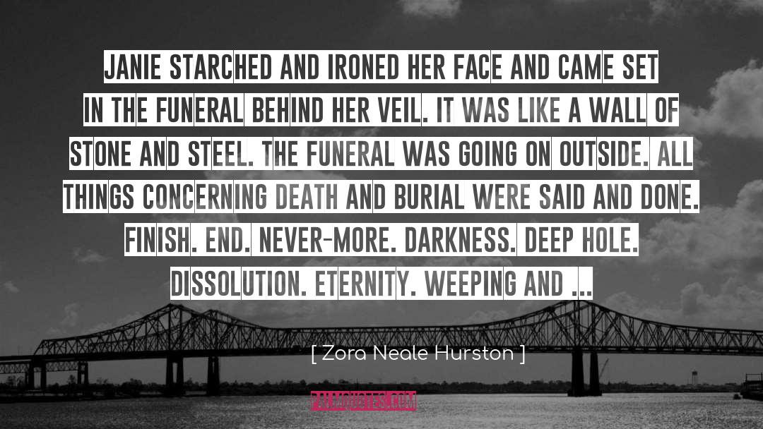 Darkness Falls quotes by Zora Neale Hurston