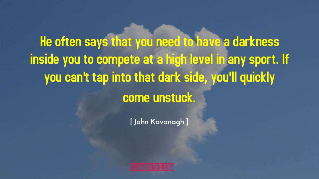 Darkness Inside quotes by John Kavanagh