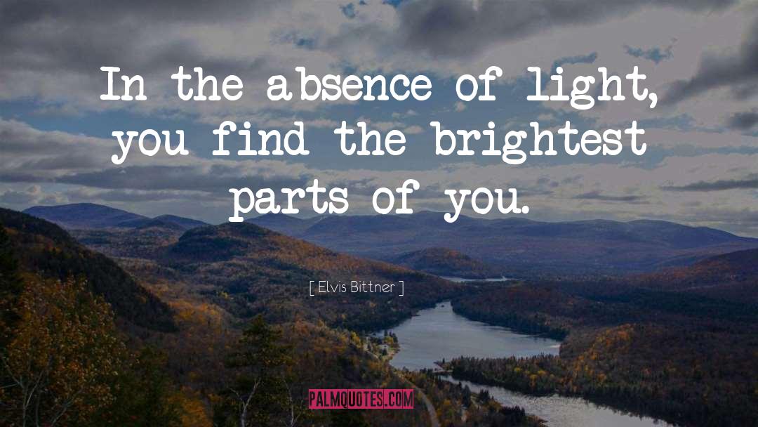 Darkness Light quotes by Elvis Bittner