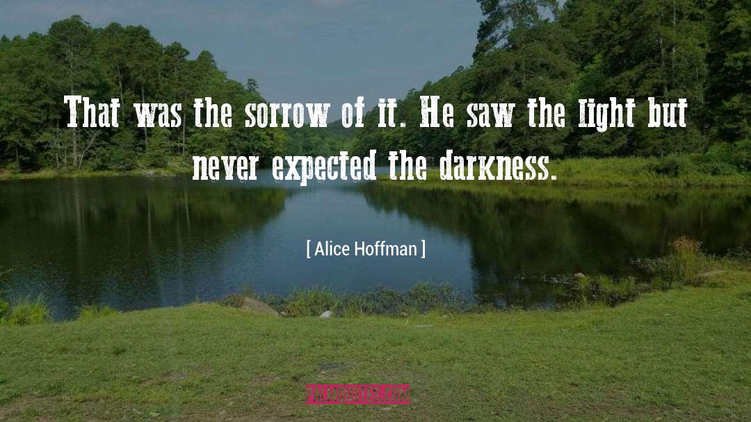 Darkness Light quotes by Alice Hoffman