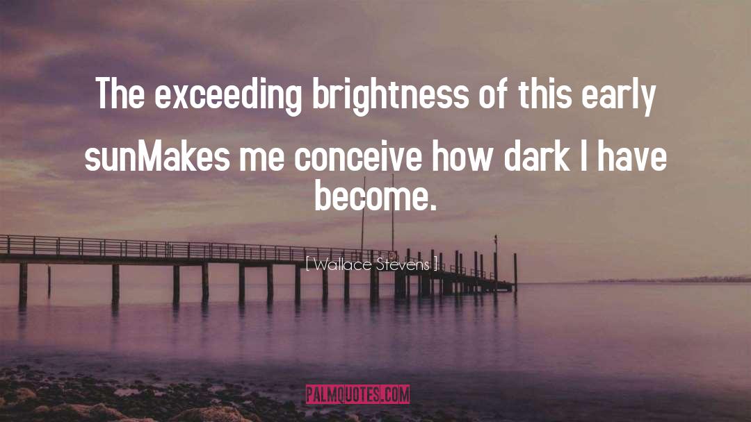 Darkness Light quotes by Wallace Stevens