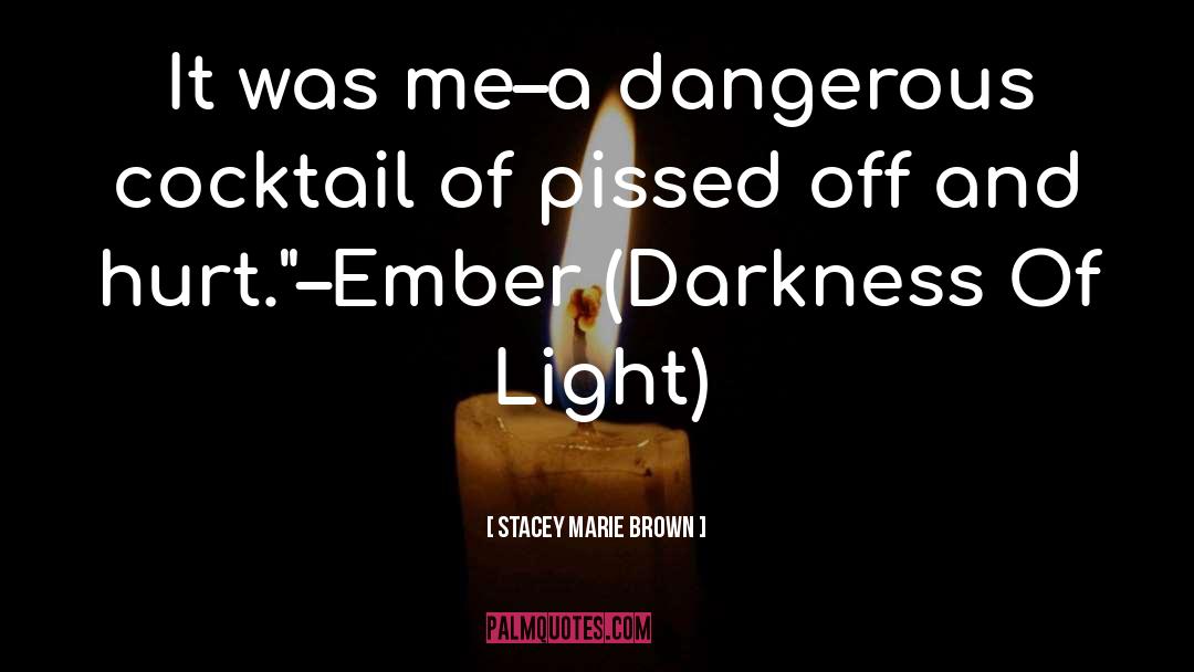 Darkness Of Light quotes by Stacey Marie Brown