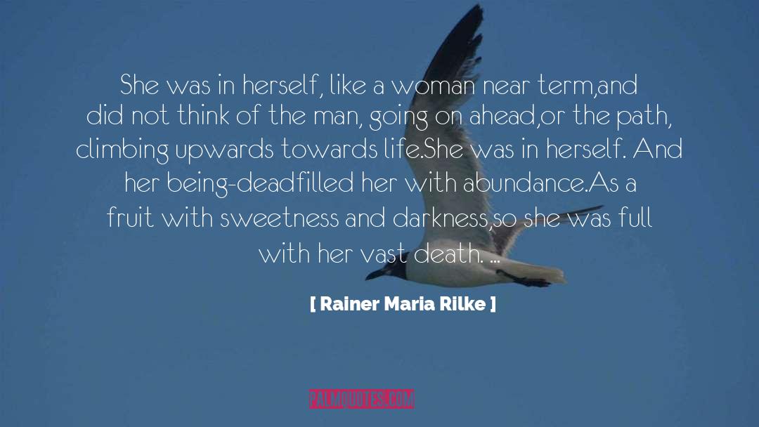 Darkness Of The Soul quotes by Rainer Maria Rilke