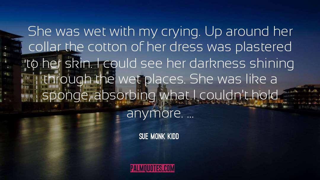 Darkness quotes by Sue Monk Kidd