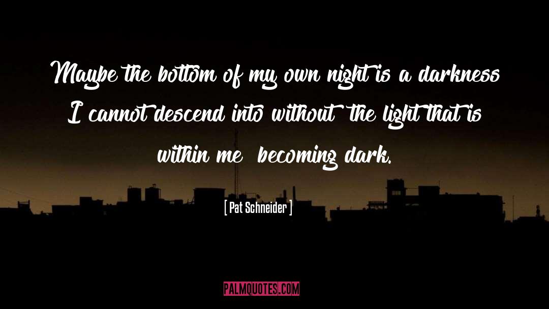 Darkness quotes by Pat Schneider