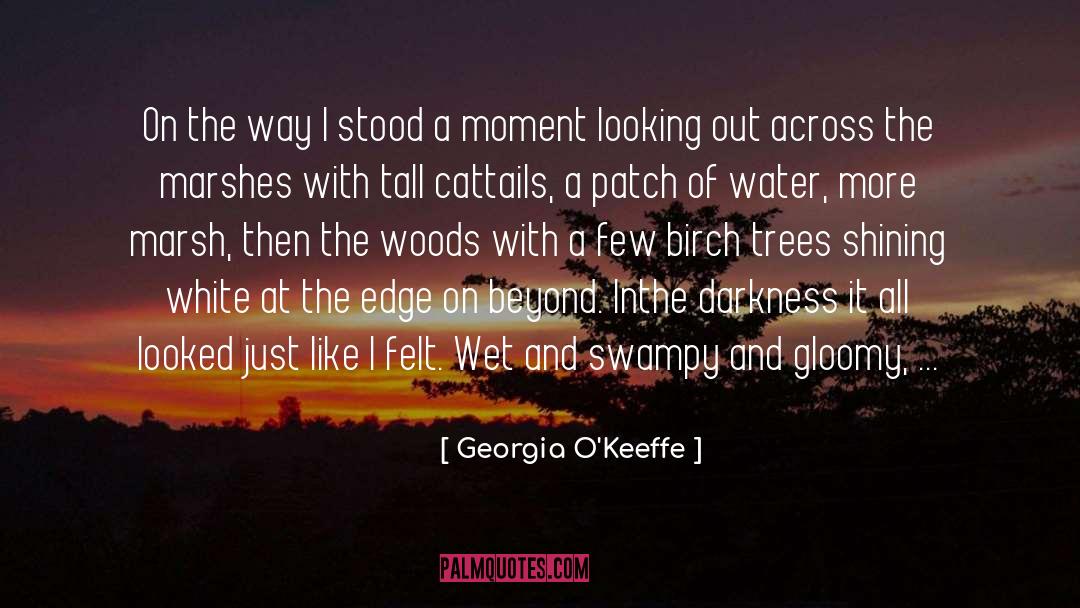 Darkness Raise quotes by Georgia O'Keeffe