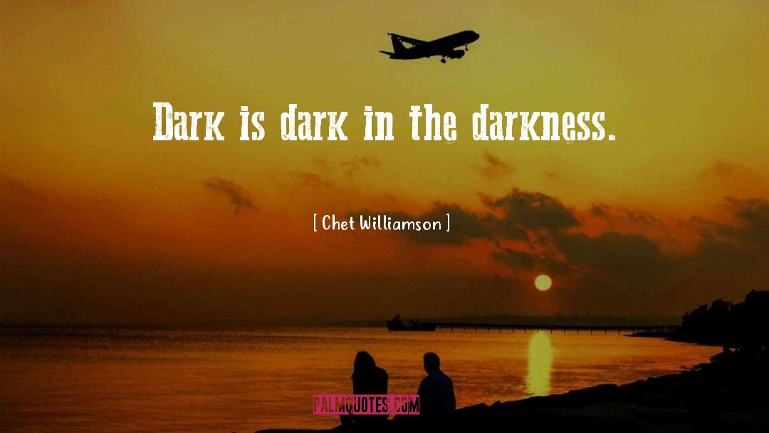 Darkness Surrendered quotes by Chet Williamson