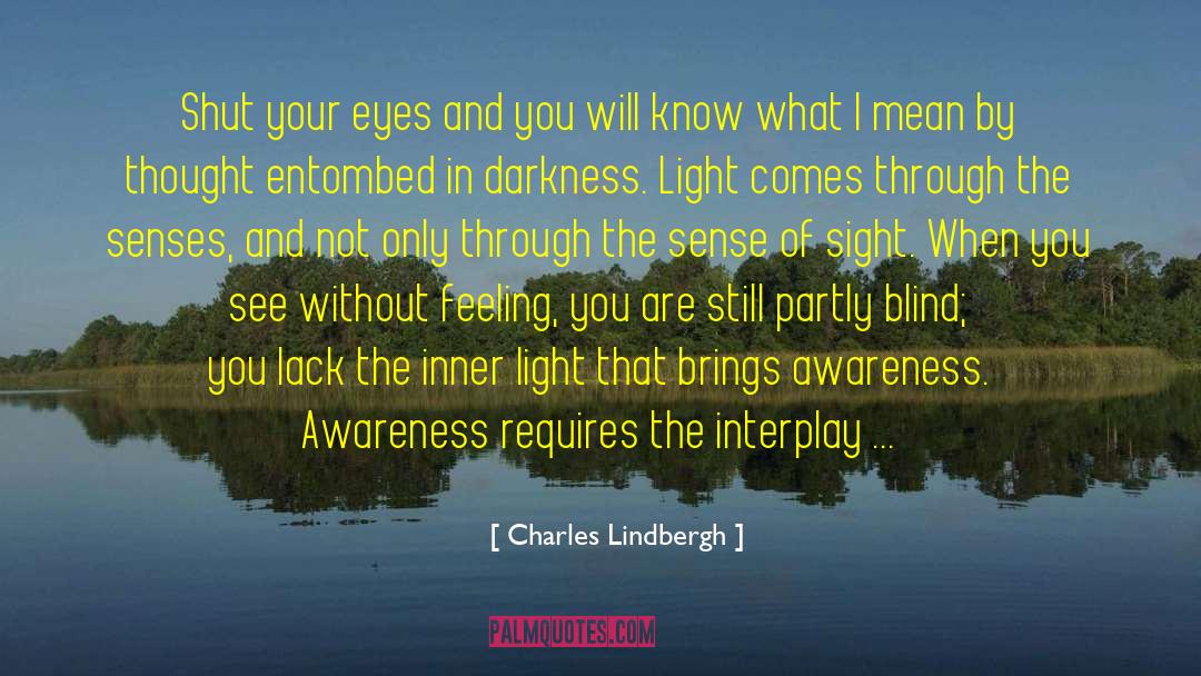 Darkness To Light quotes by Charles Lindbergh