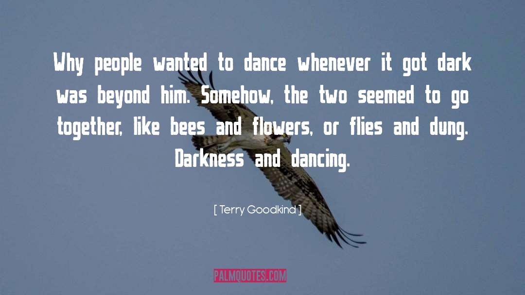 Darkness To Light quotes by Terry Goodkind
