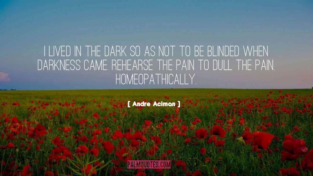 Darkness Within quotes by Andre Aciman