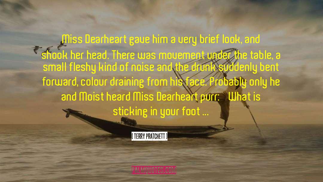 Darmanin Footwear quotes by Terry Pratchett