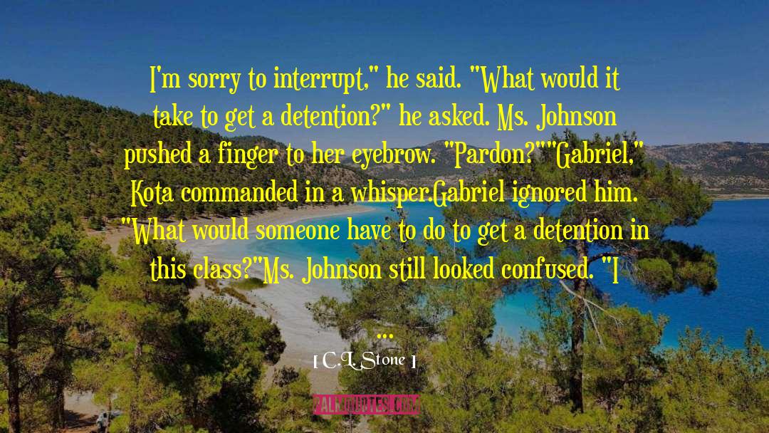 Darren L Johnson quotes by C.L. Stone