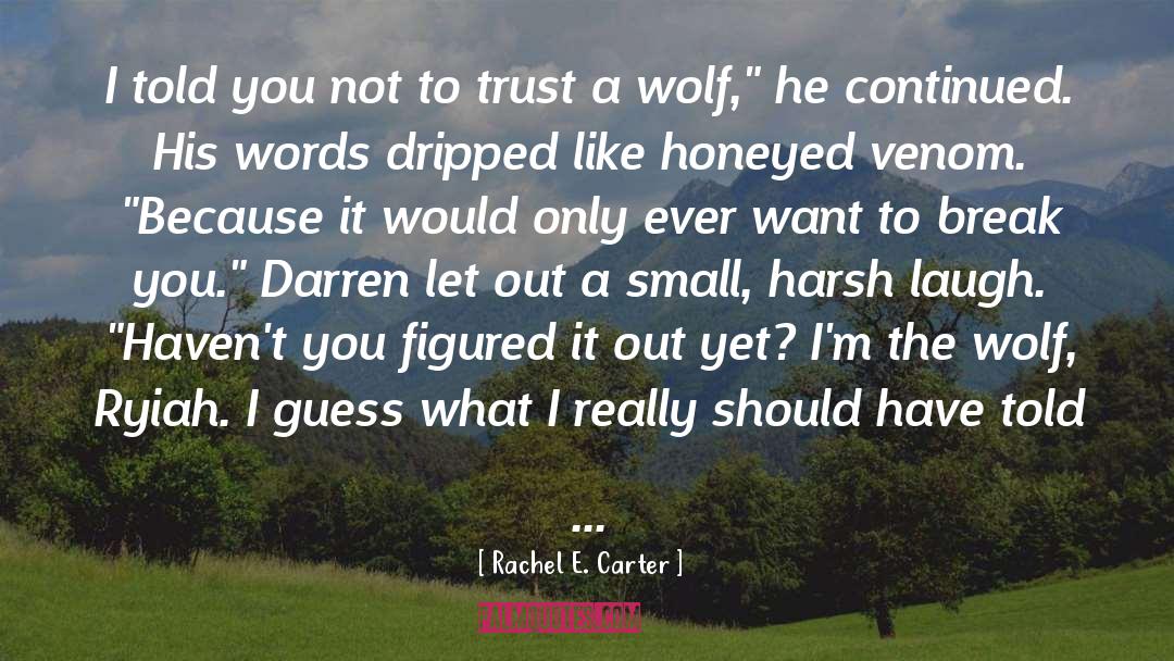 Darren quotes by Rachel E. Carter