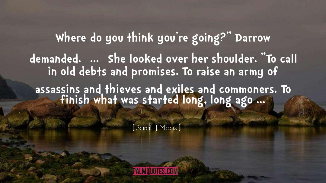 Darrow quotes by Sarah J. Maas