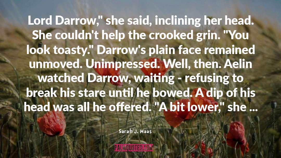 Darrow quotes by Sarah J. Maas