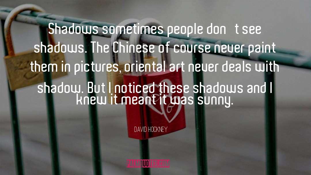Darting Shadow quotes by David Hockney