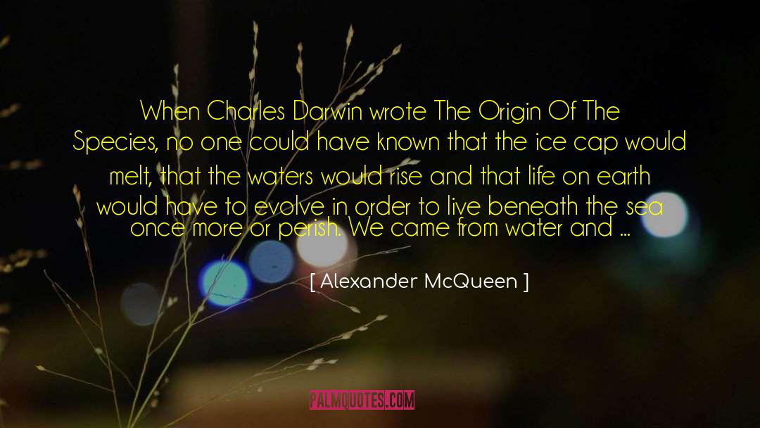 Daryanani Origin quotes by Alexander McQueen