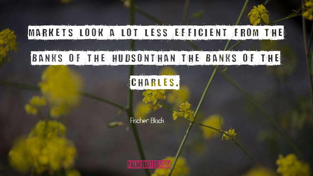 Dasal Banks quotes by Fischer Black