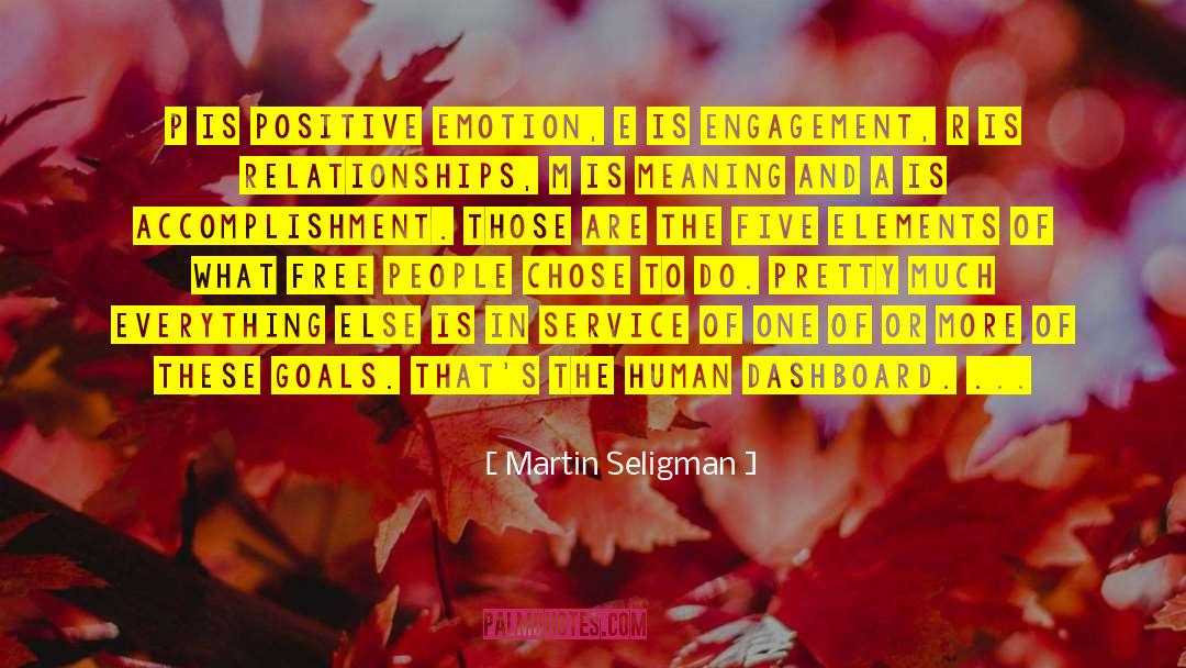 Dashboard Designer quotes by Martin Seligman