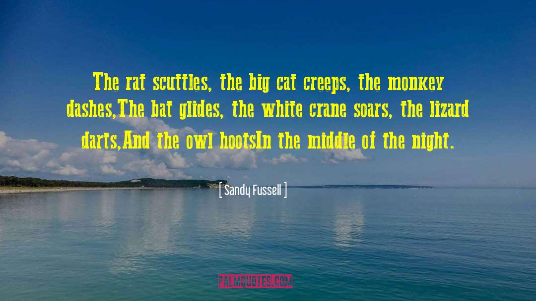 Dashes quotes by Sandy Fussell