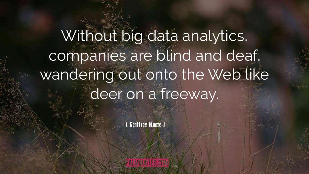 Data Analytics quotes by Geoffrey Moore