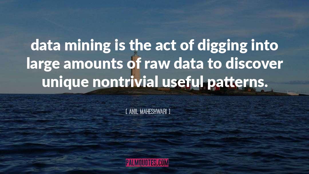 Data Is King quotes by Anil Maheshwari