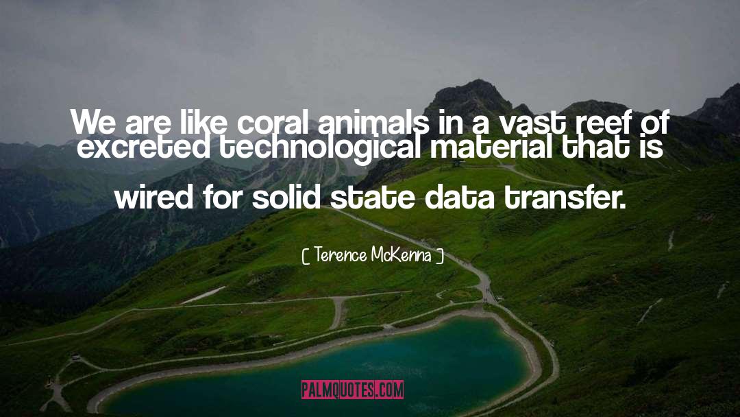 Data Is King quotes by Terence McKenna