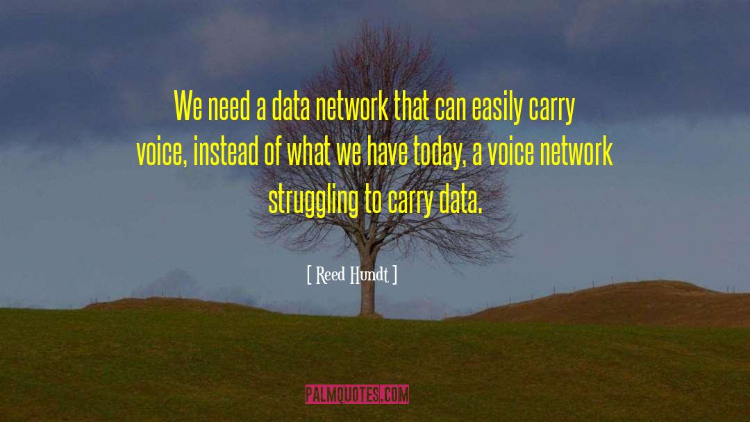 Data Is King quotes by Reed Hundt