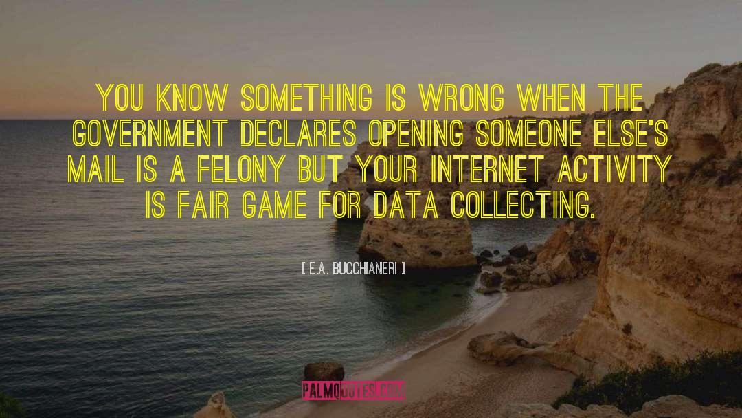 Data Is King quotes by E.A. Bucchianeri