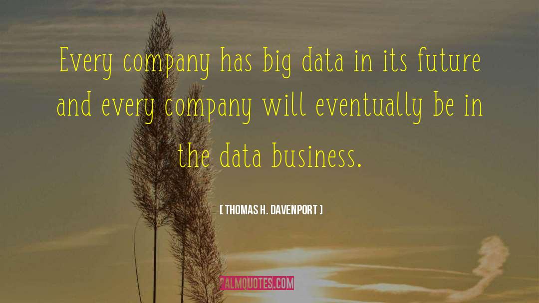 Data Is King quotes by Thomas H. Davenport