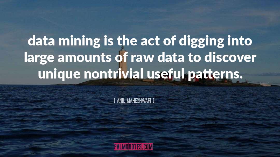 Data Mining quotes by Anil Maheshwari