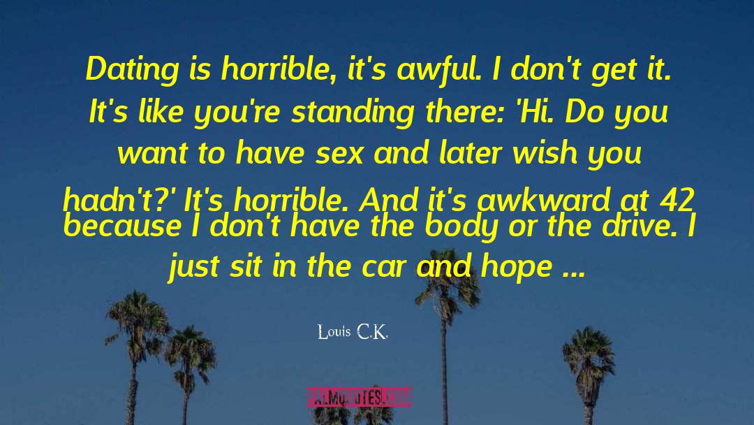 Dating Profiles quotes by Louis C.K.