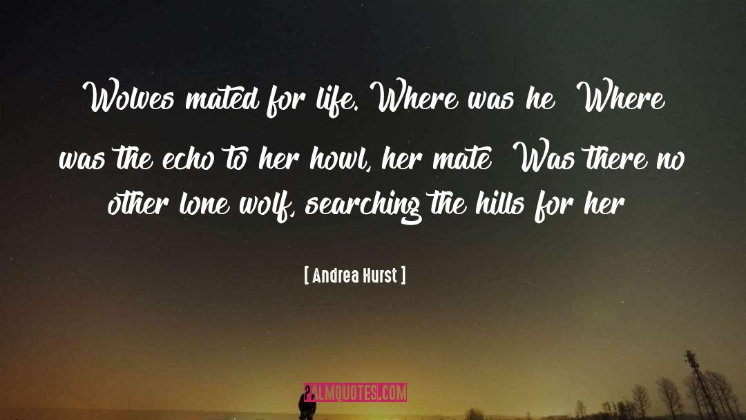 Dating Soul Mate quotes by Andrea Hurst